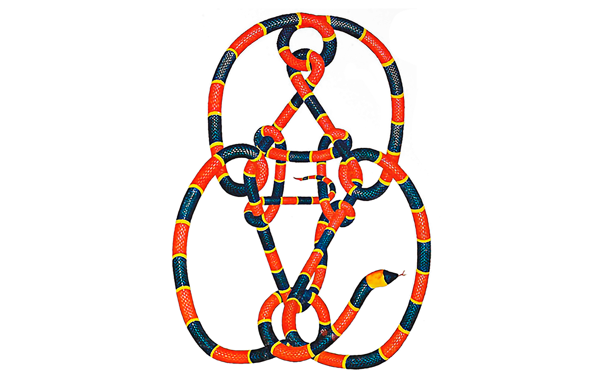 mão morta revisitada em vinil